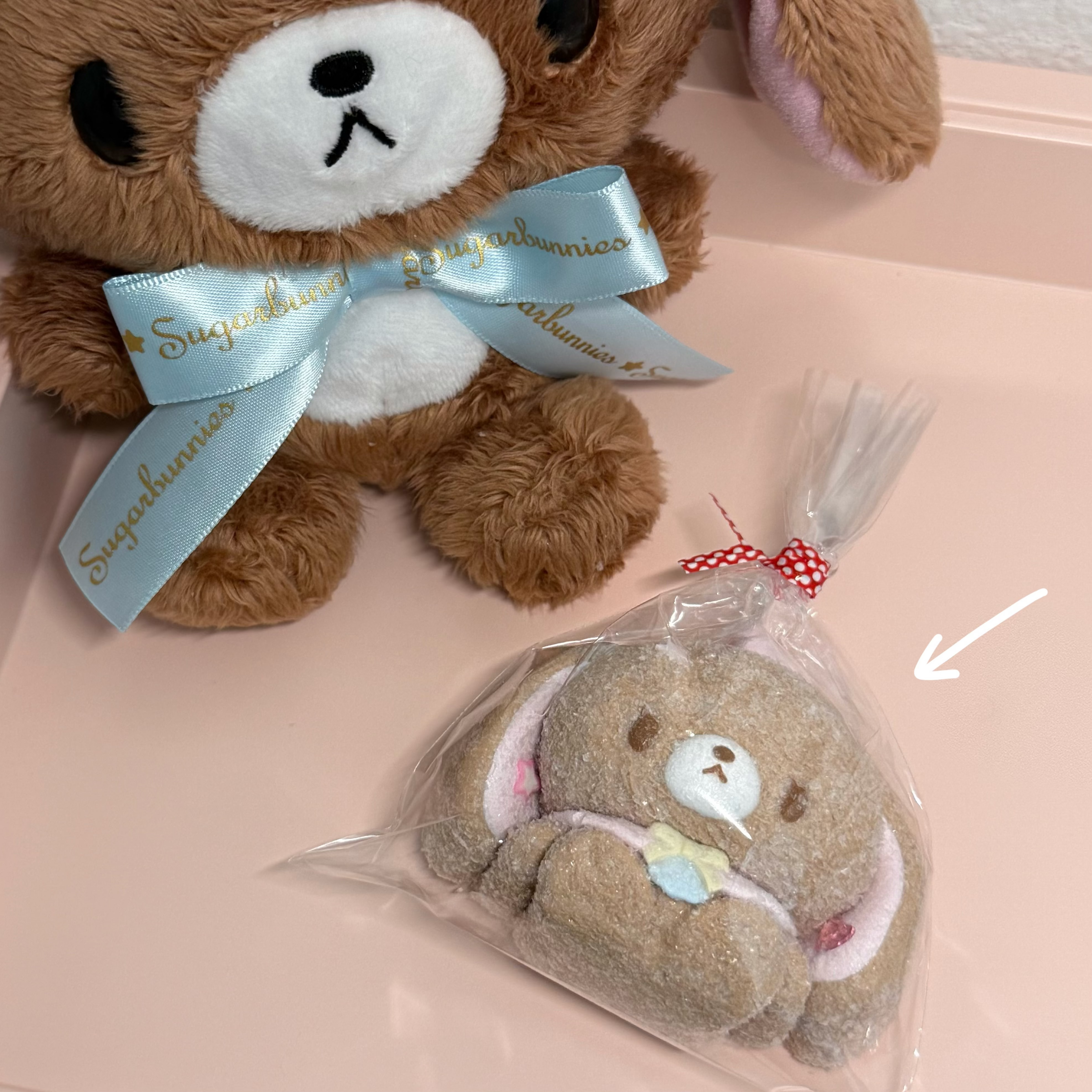 Brown Bunny Squishy