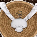 Polka Dot Bunny Plushie